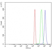 Flow cytometry testing of human HL60 cells with RAD21 antibody at 1ug/million cells (blocked with goat sera); Red=cells alone, Green=isotype control, Blue= RAD21 antibody.