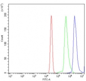 Flow cytometry testing of fixed and permeabilized human U937 cells with STAT6 antibody at 1ug/million cells (blocked with goat sera); Red=cells alone, Green=isotype control, Blue= STAT6 antibody.
