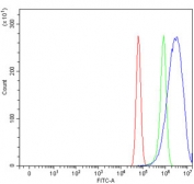 Flow cytometry testing of human U-87 MG cells with ATP1B2 antibody at 1ug/million cells (blocked with goat sera); Red=cells alone, Green=isotype control, Blue= ATP1B2 antibody.