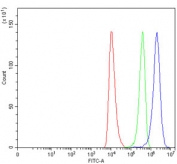 Flow cytometry testing of human HEL cells with HAVCR2 antibody at 1ug/million cells (blocked with goat sera); Red=cells alone, Green=isotype control, Blue= HAVCR2 antibody.