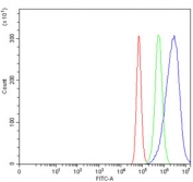 Flow cytometry testing of human HeLa cells with NDUFS2 antibody at 1ug/million cells (blocked with goat sera); Red=cells alone, Green=isotype control, Blue= NDUFS2 antibody.