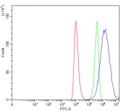 Flow cytometry testing of human HEL cells with APP-1 antibody at 1ug/million cells (blocked with goat sera); Red=cells alone, Green=isotype control, Blue= APP-1 antibody.