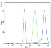 Flow cytometry testing of human HepG2 cells with STK15 antibody at 1ug/million cells (blocked with goat sera); Red=cells alone, Green=isotype control, Blue= STK15 antibody.