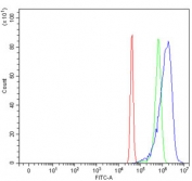 Flow cytometry testing of human SiHa cells with Fibroblast activation protein alpha antibody at 1ug/million cells (blocked with goat sera); Red=cells alone, Green=isotype control, Blue= Fibroblast activation protein alpha antibody.