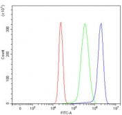 Flow cytometry testing of human HepG2 cells with Niemann Pick C1 antibody at 1ug/million cells (blocked with goat sera); Red=cells alone, Green=isotype control, Blue= Niemann Pick C1 antibody.
