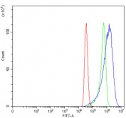 Flow cytometry testing of human MCF7 cells with TER ATPase antibody at 1ug/million cells (blocked with goat sera); Red=cells alone, Green=isotype control, Blue= TER ATPase antibody.