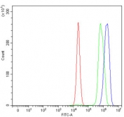 Flow cytometry testing of rat C6 cells with TER ATPase antibody at 1ug/million cells (blocked with goat sera); Red=cells alone, Green=isotype control, Blue= TER ATPase antibody.