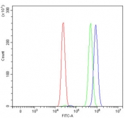 Flow cytometry testing of human HepG2 cells with PC4 antibody at 1ug/million cells (blocked with goat sera); Red=cells alone, Green=isotype control, Blue= PC4 antibody.