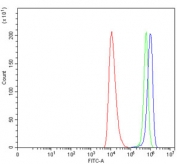 Flow cytometry testing of human HEL cells with HMG CoA Reductase antibody at 1ug/million cells (blocked with goat sera); Red=cells alone, Green=isotype control, Blue= HMG CoA Reductase antibody.