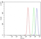 Flow cytometry testing of fixed and permeabilized human 293T cells with NKX2.5 antibody at 1ug/million cells (blocked with goat sera); Red=cells alone, Green=isotype control, Blue= NKX2.5 antibody.