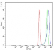 Flow cytometry testing of human HeLa cells with Glutathione Peroxidase 4 antibody at 1ug/million cells (blocked with goat sera); Red=cells alone, Green=isotype control, Blue= Glutathione Peroxidase 4 antibody.