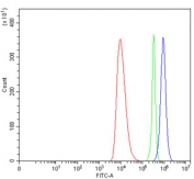 Flow cytometry testing of human HEL cells with Parathyroid Hormone Receptor 1 antibody at 1ug/million cells (blocked with goat sera); Red=cells alone, Green=isotype control, Blue= Parathyroid Hormone Receptor 1 antibody.