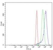 Flow cytometry testing of human MCF7 cells with TYK2 antibody at 1ug/million cells (blocked with goat sera); Red=cells alone, Green=isotype control, Blue= TYK2 antibody.