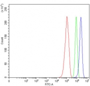 Flow cytometry testing of human RT4 cells with CD83 antibody at 1ug/million cells (blocked with goat sera); Red=cells alone, Green=isotype control, Blue= CD83 antibody.