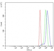 Flow cytometry testing of human PC-3 cells with MSX2 antibody at 1ug/million cells (blocked with goat sera); Red=cells alone, Green=isotype control, Blue= MSX2 antibody.