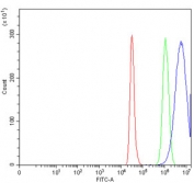 Flow cytometry testing of human Caco-2 cells with AREG antibody at 1ug/million cells (blocked with goat sera); Red=cells alone, Green=isotype control, Blue= AREG antibody.