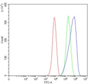 Flow cytometry testing of mouse RAW264.7 cells with Slc3a2 antibody at 1ug/million cells (blocked with goat sera); Red=cells alone, Green=isotype control, Blue= Slc3a2 antibody.