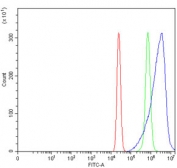 Flow cytometry testing of human U-2 OS cells with ACSS2 antibody at 1ug/million cells (blocked with goat sera); Red=cells alone, Green=isotype control, Blue= ACSS2 antibody.