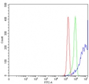 Flow cytometry testing of human RT4 cells with ARL1 antibody at 1ug/million cells (blocked with goat sera); Red=cells alone, Green=isotype control, Blue= ARL1 antibody.