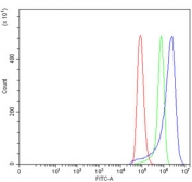 Flow cytometry testing of human HeLa cells with NDUFS5 antibody at 1ug/million cells (blocked with goat sera); Red=cells alone, Green=isotype control, Blue= NDUFS5 antibody.