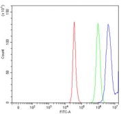 Flow cytometry testing of human HepG2 cells with 17-beta-HSD 3 antibody at 1ug/million cells (blocked with goat sera); Red=cells alone, Green=isotype control, Blue= 17-beta-HSD 3 antibody.