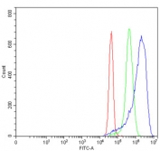 Flow cytometry testing of human MCF7 cells with MAT2A antibody at 1ug/million cells (blocked with goat sera); Red=cells alone, Green=isotype control, Blue= MAT2A antibody.