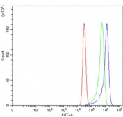 Flow cytometry testing of human MCF7 cells with RAB23 antibody at 1ug/million cells (blocked with goat sera); Red=cells alone, Green=isotype control, Blue= RAB23 antibody.