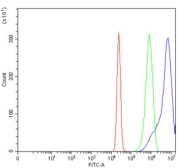 Flow cytometry testing of human U-2 OS cells with ADAMTS9 antibody at 1ug/million cells (blocked with goat sera); Red=cells alone, Green=isotype control, Blue= ADAMTS9 antibody.