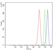 Flow cytometry testing of human RT4 cells with ADAM22 antibody at 1ug/million cells (blocked with goat sera); Red=cells alone, Green=isotype control, Blue= ADAM22 antibody.