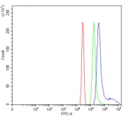 Flow cytometry testing of human HL60 cells with WDR12 antibody at 1ug/million cells (blocked with goat sera); Red=cells alone, Green=isotype control, Blue= WDR12 antibody.
