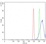 Flow cytometry testing of human PC-3 cells with VPS36 antibody at 1ug/million cells (blocked with goat sera); Red=cells alone, Green=isotype control, Blue= VPS36 antibody.
