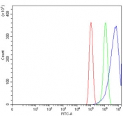 Flow cytometry testing of human PC-3 cells with Retinol dehydrogenase 10 antibody at 1ug/million cells (blocked with goat sera); Red=cells alone, Green=isotype control, Blue= Retinol dehydrogenase 10 antibody.