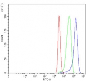 Flow cytometry testing of fixed and permeabilized human MCF7 cells with MST4 antibody at 1ug/million cells (blocked with goat sera); Red=cells alone, Green=isotype control, Blue= MST4 antibody.