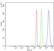 Flow cytometry testing of human HL60 cells with WDFY1 antibody at 1ug/million cells (blocked with goat sera); Red=cells alone, Green=isotype control, Blue= WDFY1 antibody.