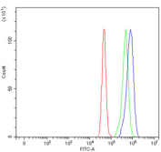 Flow cytometry testing of fixed and permeabilized human U-87 MG cells with ERGIC1 antibody at 1ug/million cells (blocked with goat sera); Red=cells alone, Green=isotype control, Blue= ERGIC1 antibody.
