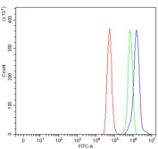 Flow cytometry testing of rat NRK cells with WNT10B antibody at 1ug/million cells (blocked with goat sera); Red=cells alone, Green=isotype control, Blue= WNT10B antibody.