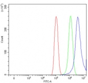 Flow cytometry testing of human PC-3 cells with WNT10B antibody at 1ug/million cells (blocked with goat sera); Red=cells alone, Green=isotype control, Blue= WNT10B antibody.