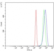 Flow cytometry testing of human U-2 OS cells with SLC3A1 antibody at 1ug/million cells (blocked with goat sera); Red=cells alone, Green=isotype control, Blue= SLC3A1 antibody.