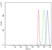 Flow cytometry testing of human PC-3 cells with TGIF1 antibody at 1ug/million cells (blocked with goat sera); Red=cells alone, Green=isotype control, Blue= TGIF1 antibody.