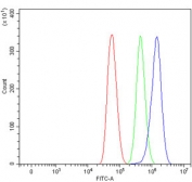 Flow cytometry testing of human U-87 MG cells with SAV1 antibody at 1ug/million cells (blocked with goat sera); Red=cells alone, Green=isotype control, Blue= SAV1 antibody.