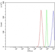 Flow cytometry testing of human RT4 cells with TRIM29 antibody at 1ug/million cells (blocked with goat sera); Red=cells alone, Green=isotype control, Blue= TRIM29 antibody.
