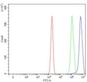 Flow cytometry testing of human U-2 OS cells with SART1 antibody at 1ug/million cells (blocked with goat sera); Red=cells alone, Green=isotype control, Blue= SART1 antibody.