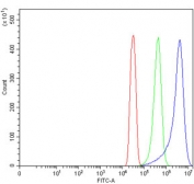 Flow cytometry testing of human SiHa cells with Tripeptidyl-peptidase 2 antibody at 1ug/million cells (blocked with goat sera); Red=cells alone, Green=isotype control, Blue= Tripeptidyl-peptidase 2 antibody.