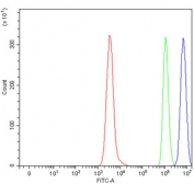 Flow cytometry testing of human Daudi cells with ZMYND8 antibody at 1ug/million cells (blocked with goat sera); Red=cells alone, Green=isotype control, Blue= ZMYND8 antibody.