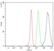 Flow cytometry testing of human 293T cells with PCH2 antibody at 1ug/million cells (blocked with goat sera); Red=cells alone, Green=isotype control, Blue= PCH2 antibody.