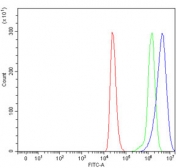 Flow cytometry testing of human ThP-1 cells with TRIM72 antibody at 1ug/million cells (blocked with goat sera); Red=cells alone, Green=isotype control, Blue= TRIM72 antibody.