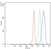 Flow cytometry testing of human 293T cells with TRIM3 antibody at 1ug/million cells (blocked with goat sera); Red=cells alone, Green=isotype control, Blue= TRIM3 antibody.