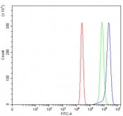 Flow cytometry testing of human U-2 OS cells with VPS51 antibody at 1ug/million cells (blocked with goat sera); Red=cells alone, Green=isotype control, Blue= VPS51 antibody.