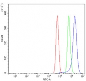 Flow cytometry testing of human U-87 MG cells with CVAK104 antibody at 1ug/million cells (blocked with goat sera); Red=cells alone, Green=isotype control, Blue= CVAK104 antibody.