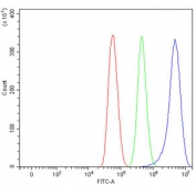 Flow cytometry testing of human U-87 MG cells with SCAMP1 antibody at 1ug/million cells (blocked with goat sera); Red=cells alone, Green=isotype control, Blue= SCAMP1 antibody.